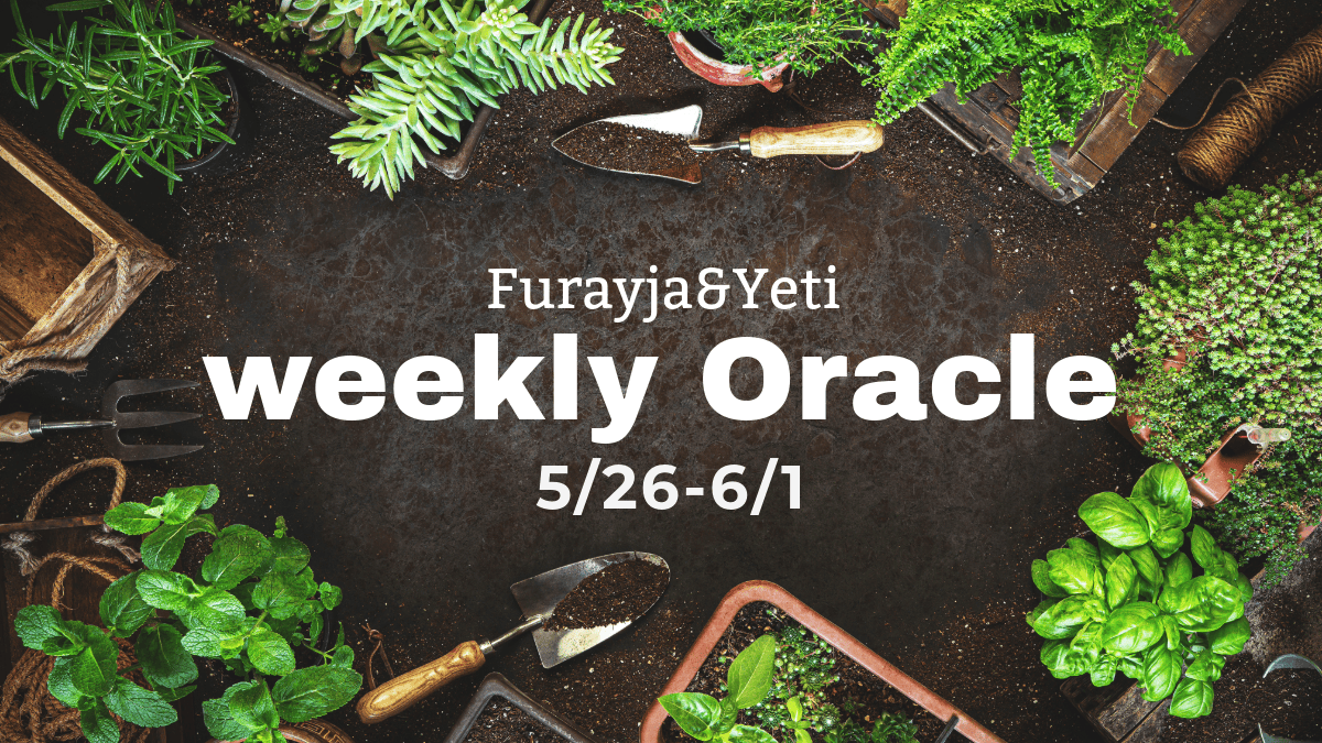 weekly oracle2025.5-3