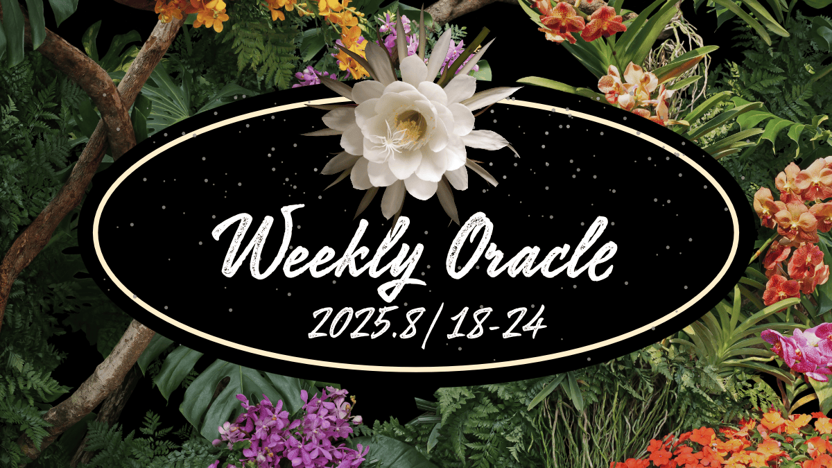 weekly oracle2025.8-2