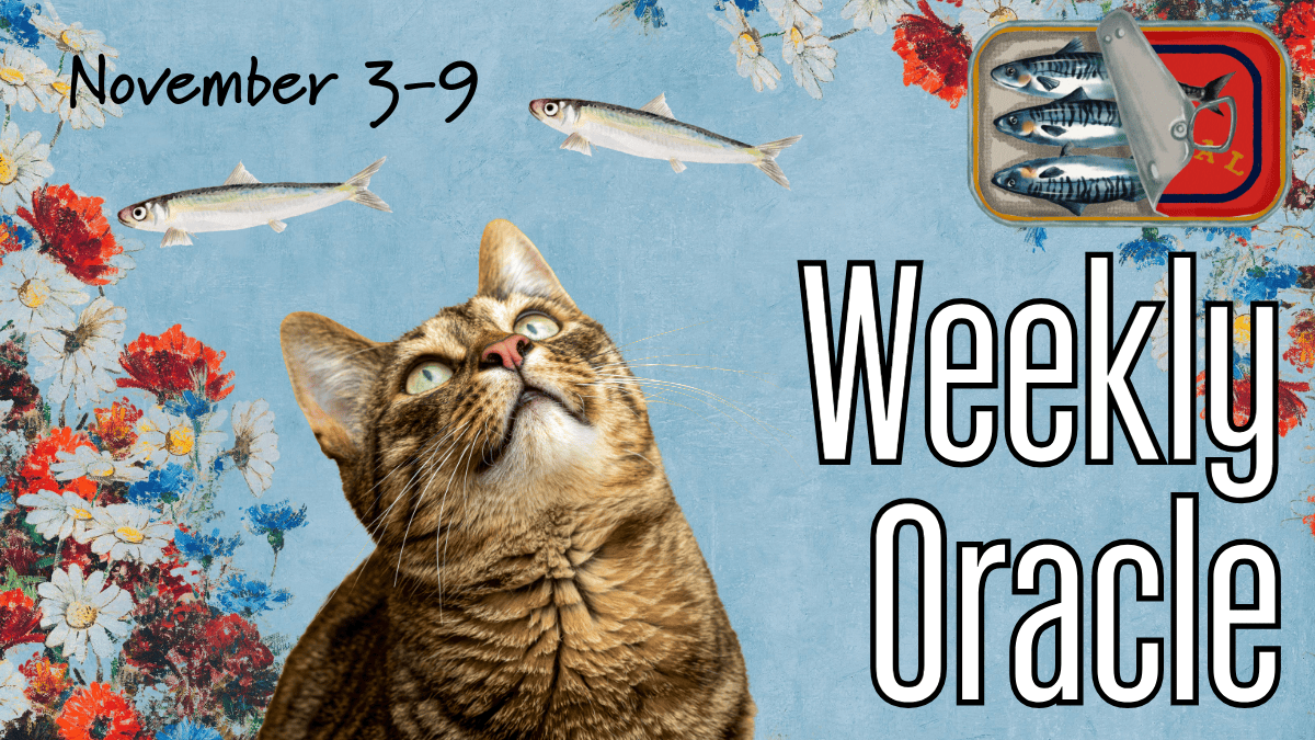 weekly oracle2025.11-3